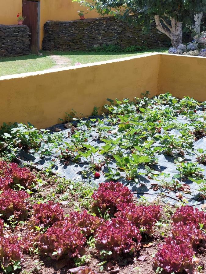 Casas De Maragouzos Villa Silleda Exterior foto